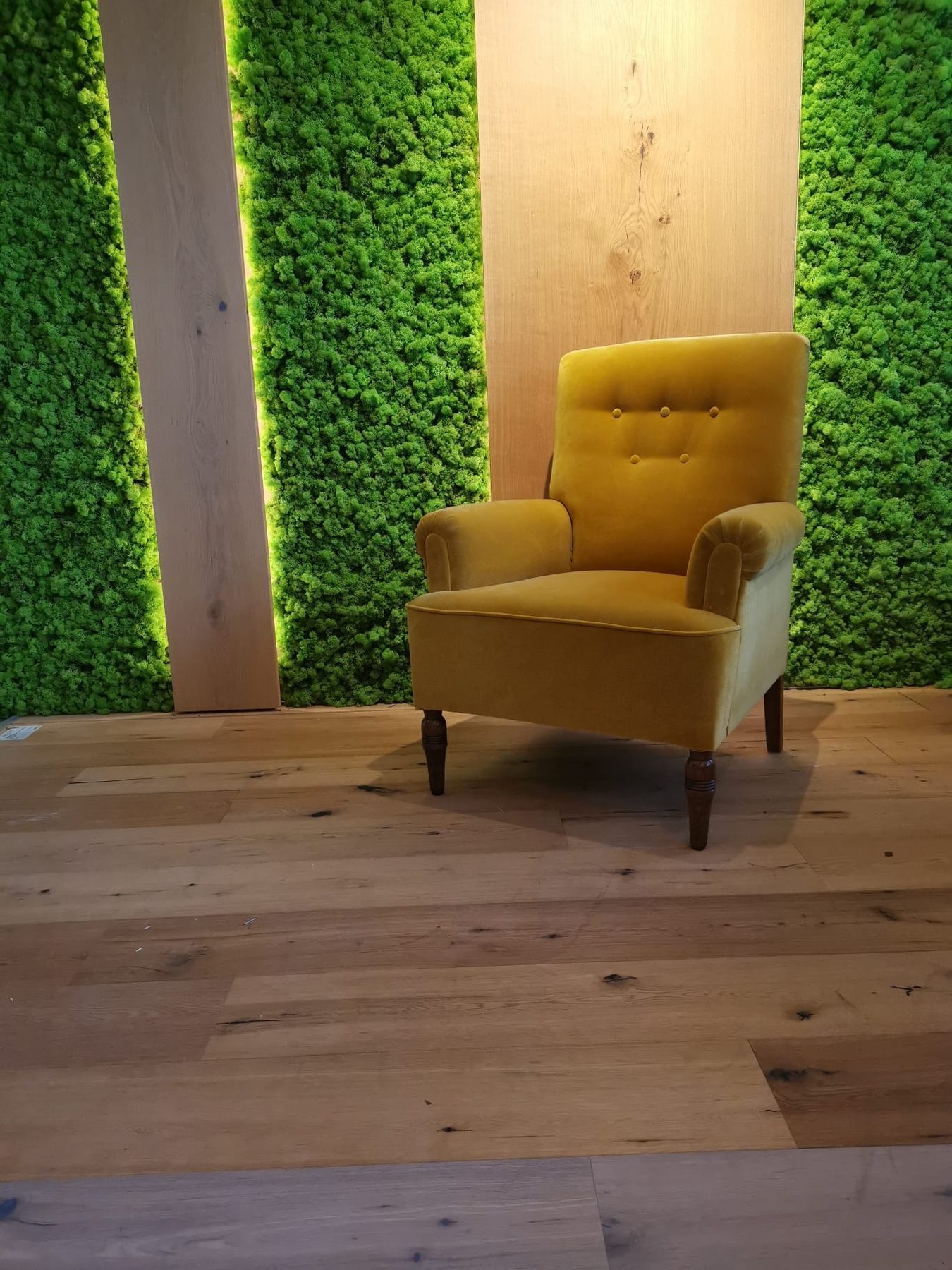 Gelber Sessel vor einer Mooswand auf einem Eichenboden im Showroom